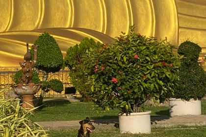 CheevitCheeva Hatyai