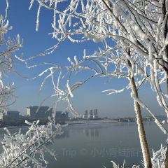 金秋鱼餐馆 User Photo