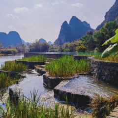 廣西崇左祕境麗世度假村·良食餐廳張用戶圖片