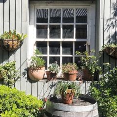 The Potting Shed at The Grounds User Photo