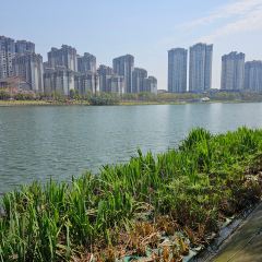 袁味·油炸串串香(民和路店) User Photo