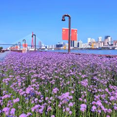 Hacker-Pschorr User Photo