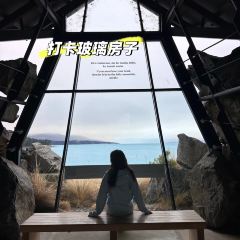 Mount Cook Alpine Salmon張用戶圖片
