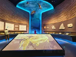 Dongting Lake Museum