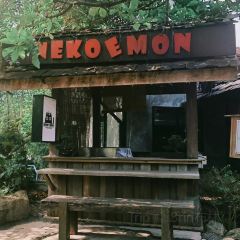 Nekoemon Cafe User Photo