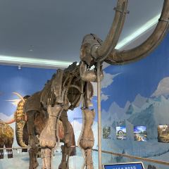 刘炭长牛烧大块烤肉(海州庙店) 여행 사진