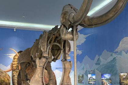 刘炭长牛烧大块烤肉(海州庙店)