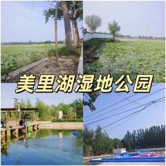 Laopaifang (wanda) User Photo