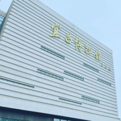 曾氏菜館張用戶圖片
