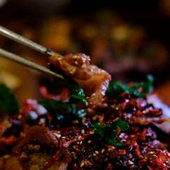 Meraki189 User Photo