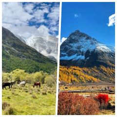 Bawa Tibetan Food User Photo