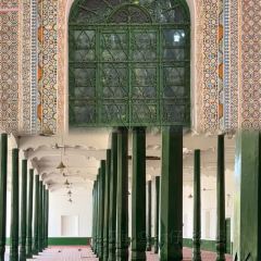 黃金樽美食張用戶圖片