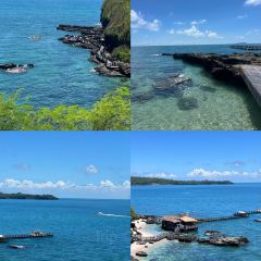 杯杯乐 User Photo