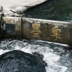 孙家糖油条 User Photo