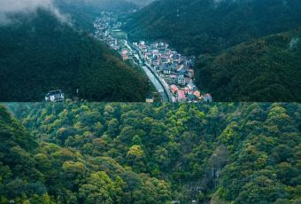 石浦湾海鲜(万风新天地店) User Photo