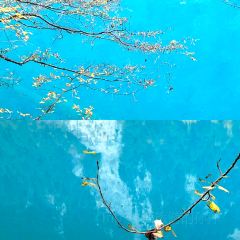 卡万金特色藏餐 User Photo