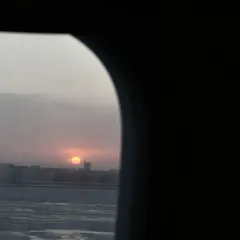 杨老七羊肉粉汤のユーザー投稿写真