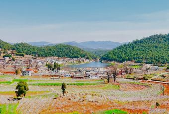 桃花岛农庄 User Photo