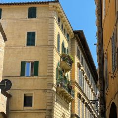 il pomodorino張用戶圖片