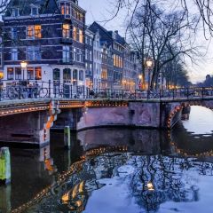 IJssalon Tofani User Photo