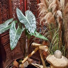 临枫日式铁板烧(广富林路店) User Photo