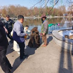 泉上农贸市场 User Photo