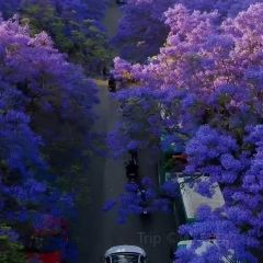 凉山州彝族自治州西昌市布托县城 User Photo