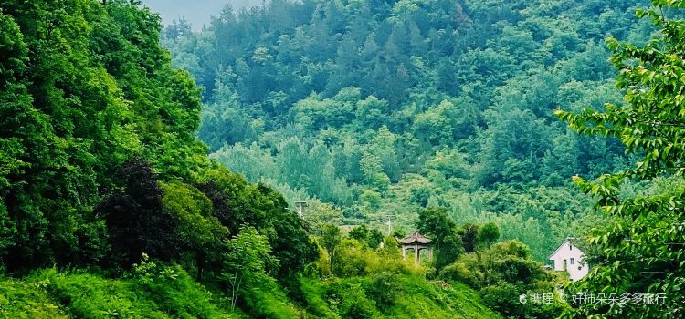 商山名厨