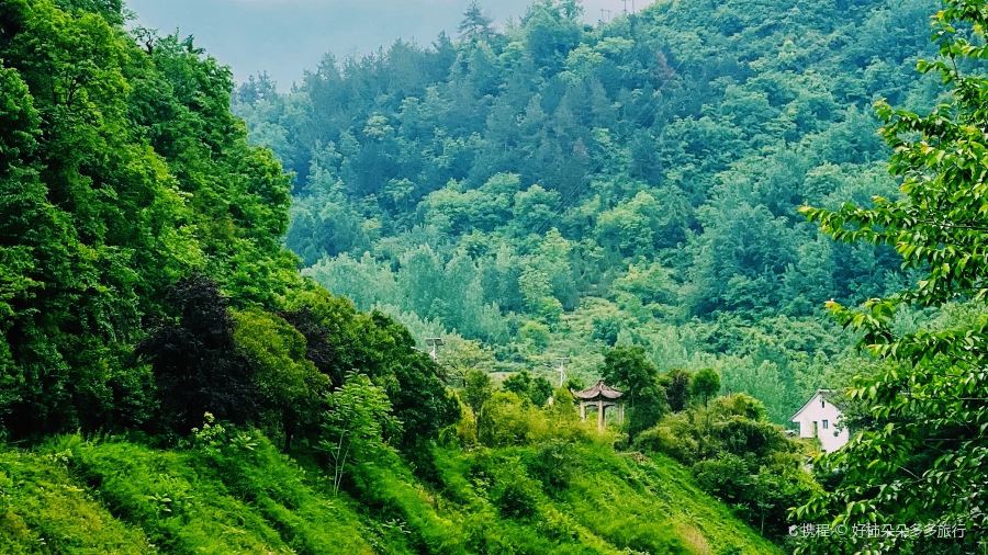 商山名厨