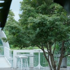 白麓半岛·泰餐厅(麓湖美食岛店) User Photo