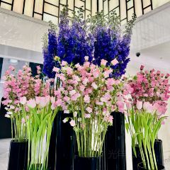 High·Yun jian By Light&Salt (Former Bund Center Branch) User Photo
