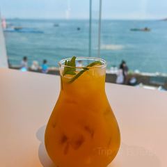 岛语plus User Photo