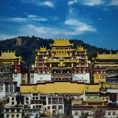 TIBETAN BAZHEN STORE User Photo