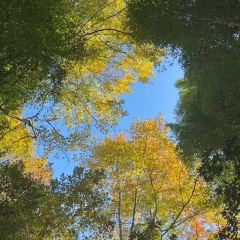 老媽臭豆腐,烤年糕,春餅張用戶圖片