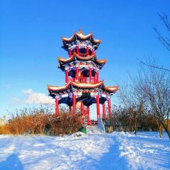 Mu Dan Jiang Xia Wei Yi Guo Ji Da Jiu Dian·Shui Yin Ri Ben Liao Li User Photo