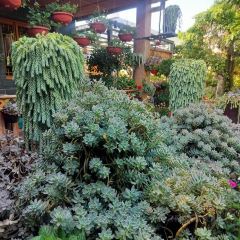 912张宜花园餐厅 User Photo
