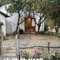 hill side User Photo