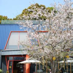 远餐厅 User Photo