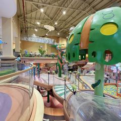 嘉兴开元森泊度假酒店·森灵岩洞餐厅 User Photo