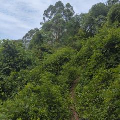 山涧别院 User Photo