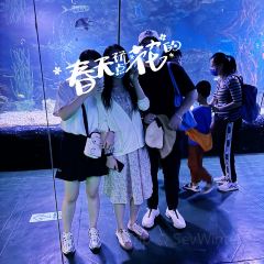 喜鼎海胆水饺(星海店) User Photo