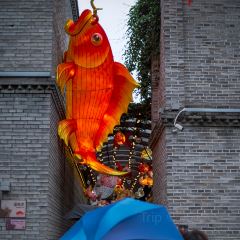 A MI DA PAI DANG User Photo