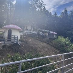 維一億江南（長興店）張用戶圖片