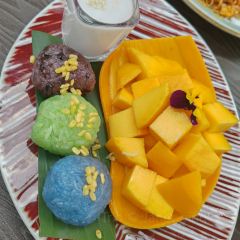 Mango Tree User Photo