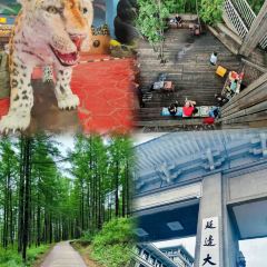 YAN JI KAO ROU User Photo