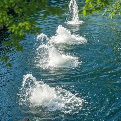 济南名吃油旋甜沫 User Photo