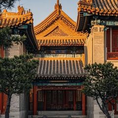 XIAO FANG NIU User Photo