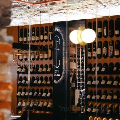 Cellar To Table·CTT User Photo