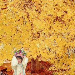 LOBSTER MONSTRE 여행 사진