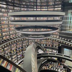 SUN JIA LONG XIA User Photo